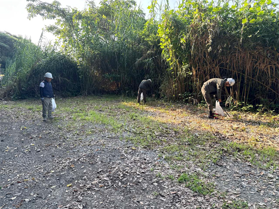 ロードボランティア01